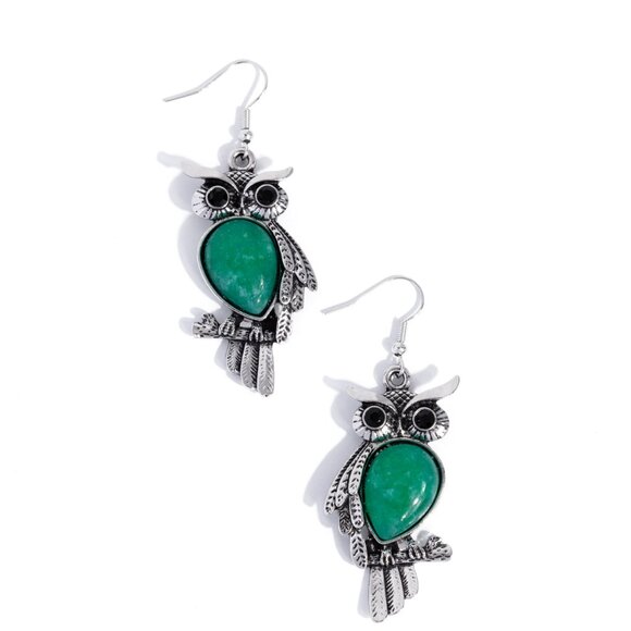 Owl Observation - Picture 2 of 3